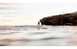 BOARDWORKS BOARDWORKS / SHUBU SOLR / 10'6'' X 32'' -Water Sport Gear Shop boardworks boardworks shubu solr 106 x 32 6