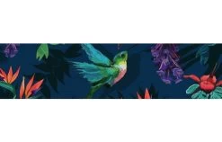 PULSE PULSE / 2022 HONEY 10.6 -Water Sport Gear Shop pulse pulse 2022 honey 106 10