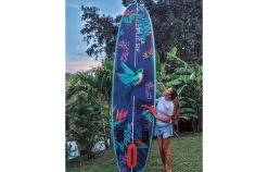 PULSE PULSE / 2022 HONEY 10.6 -Water Sport Gear Shop pulse pulse 2022 honey 106 8