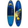 PULSE PULSE / SUP 11.0" REC-TEC / COZUMEL KIT -Water Sport Gear Shop pulse pulse sup 110 rec tec cozumel kit